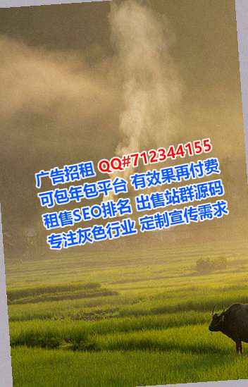 阎良生子信息技术公司